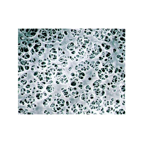 Coated Cellulose Acetate (CMF)